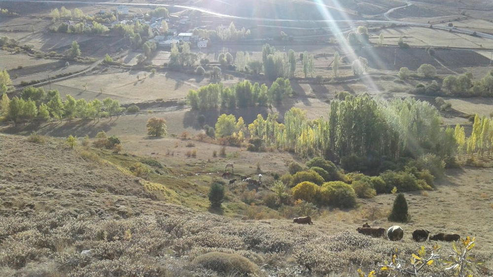 Refahiye Çamdibi Köyü Resimleri 1
