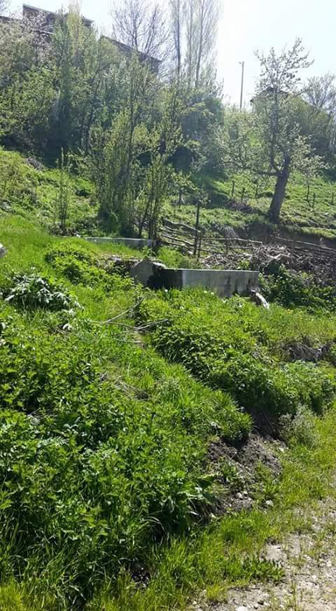 Refahiye Çatalçam Köyü Resimleri 12