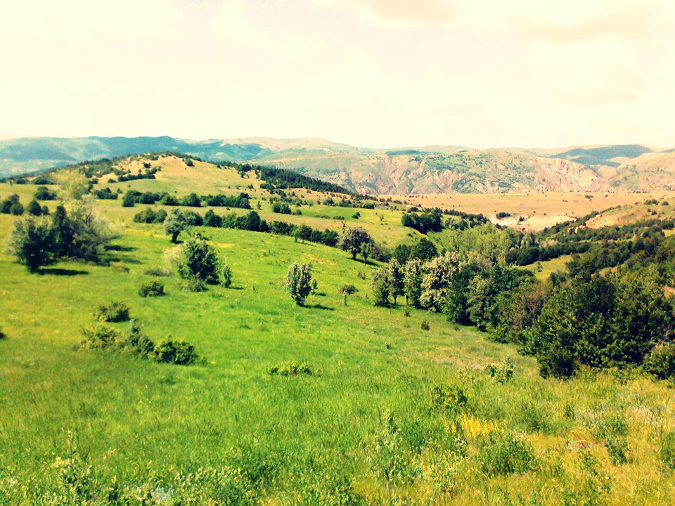 Refahiye Çatalçam Köyü Resimleri 6
