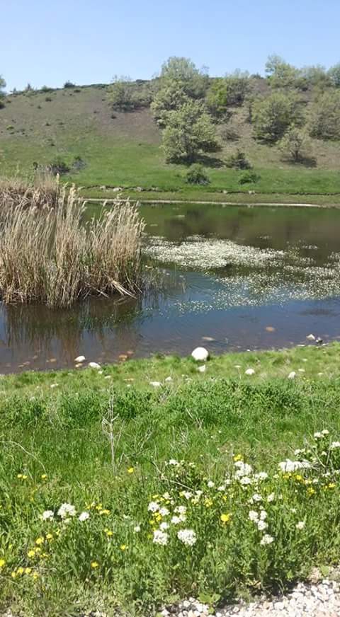 Refahiye Çatalçam Köyü Resimleri 9
