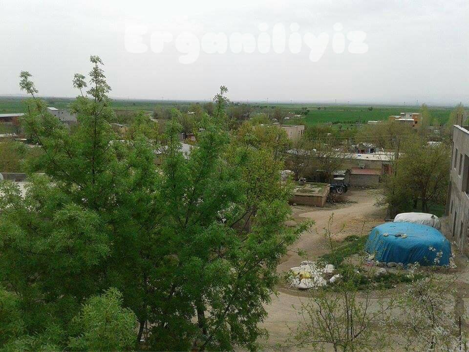 Ergani Bereketli Köyü Resimleri 1