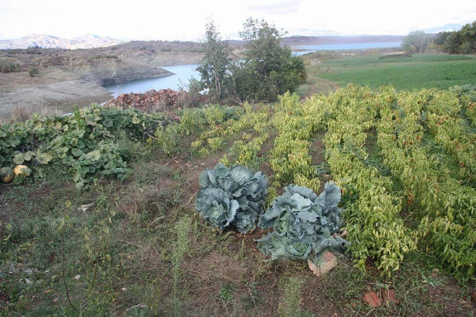 Ergani Bereketli Köyü Resimleri 2