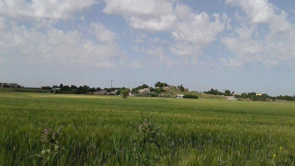 Ergani Bereketli Köyü Resimleri 3