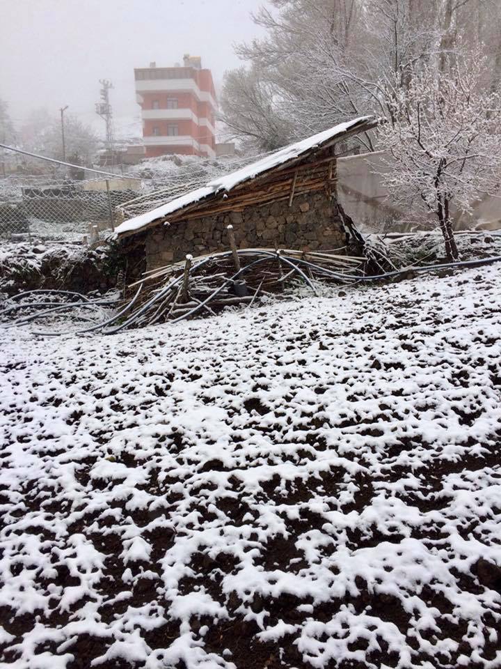 Refahiye Çukuryazı Köyü Resimleri 2