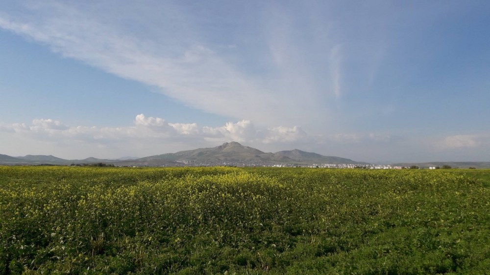 Ergani Boncuklu Köyü Resimleri 15
