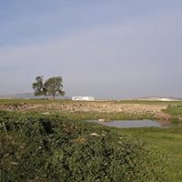 Ergani Boncuklu Köyü Resimleri 19