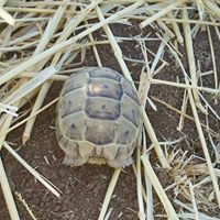 Ergani Boncuklu Köyü Resimleri 3