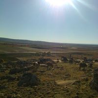 Ergani Boncuklu Köyü Resimleri 6