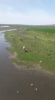 Ergani Bozyer Köyü Resimleri 6