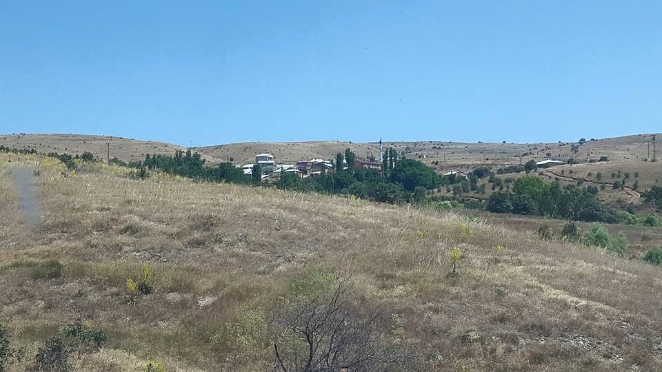 Gölova Gözlüce Köyü Resimleri 8