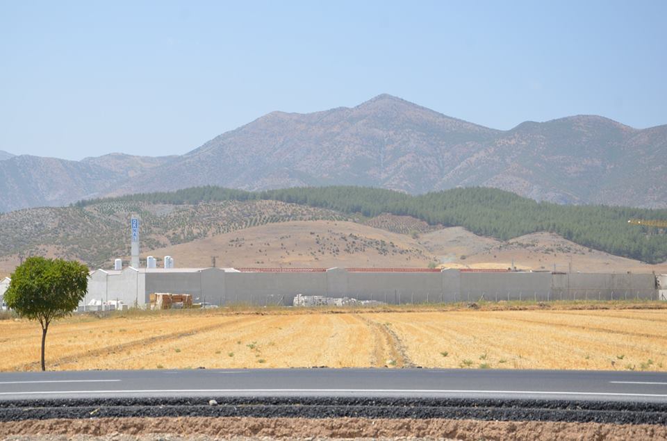 Türkoğlu Ceceli Köyü Resimleri 1