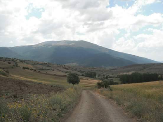 Refahiye Ekecik Köyü Resimleri 1