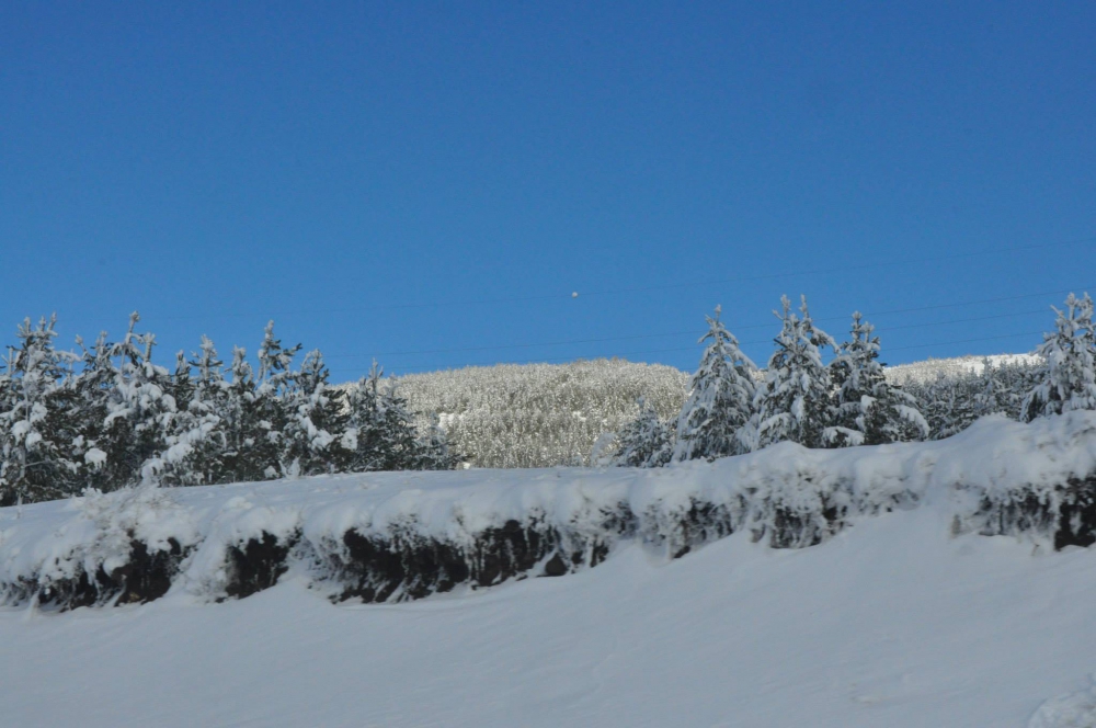 Refahiye Ekecik Köyü Resimleri 7