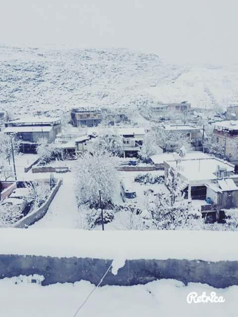 Türkoğlu Çakallıçullu Köyü Resimleri 1