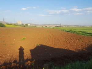 Türkoğlu Çakallıçullu Köyü Resimleri 3