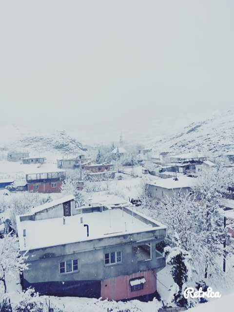 Türkoğlu Çakallıçullu Köyü Resimleri 7