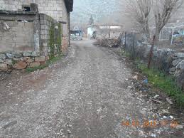 Türkoğlu Çakallıçullu Köyü Resimleri 9