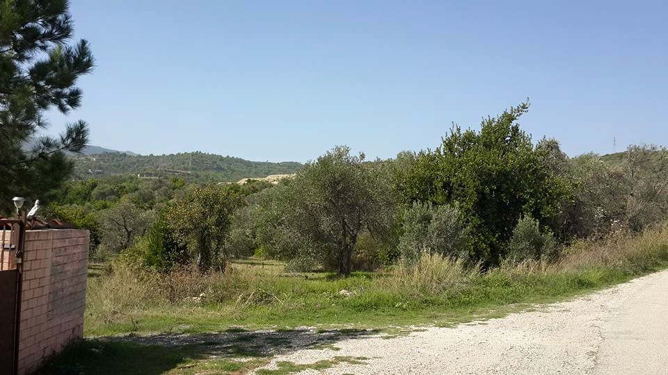 Reyhanlı Fidanlık Köyü Resimleri 2