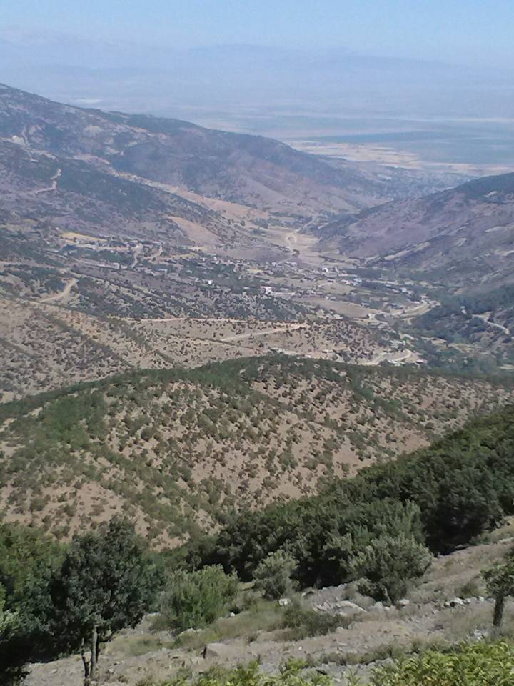 Türkoğlu Dedeler Köyü Resimleri 8