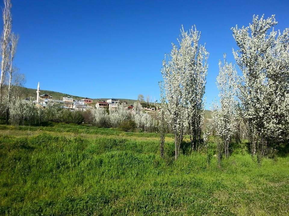 Gölova Güzören Köyü Resimleri 12