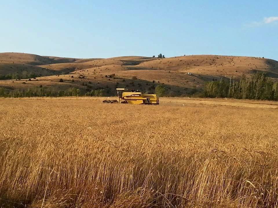 Gölova Güzören Köyü Resimleri 7