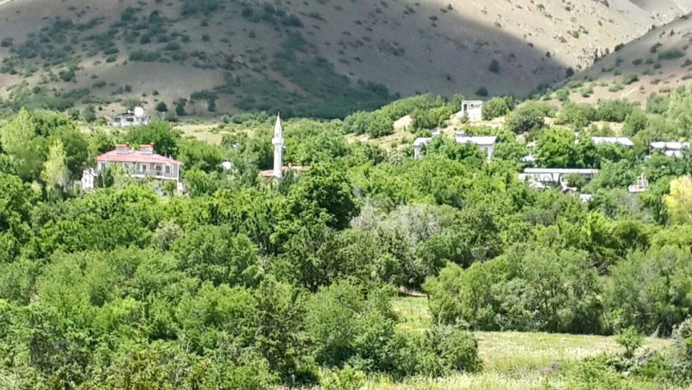 Refahiye Göçevi Köyü Resimleri 1