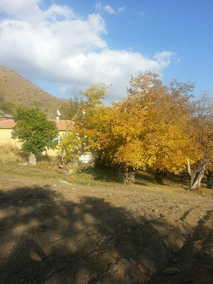 Refahiye Göçevi Köyü Resimleri 10