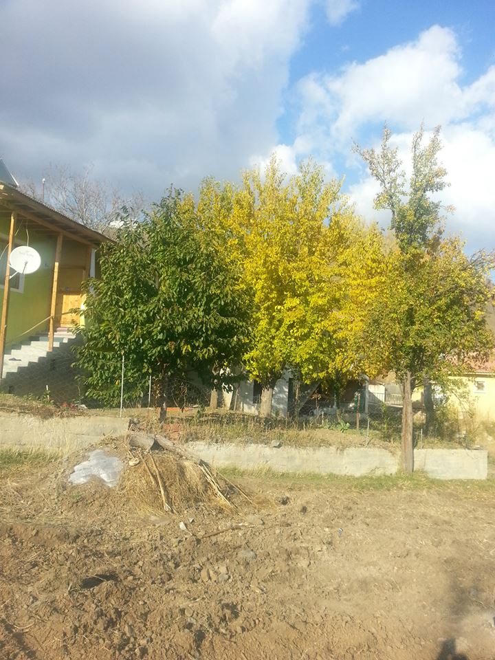 Refahiye Göçevi Köyü Resimleri 11