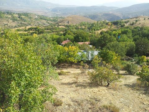 Refahiye Göçevi Köyü Resimleri 4