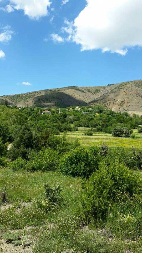 Refahiye Göçevi Köyü Resimleri 6