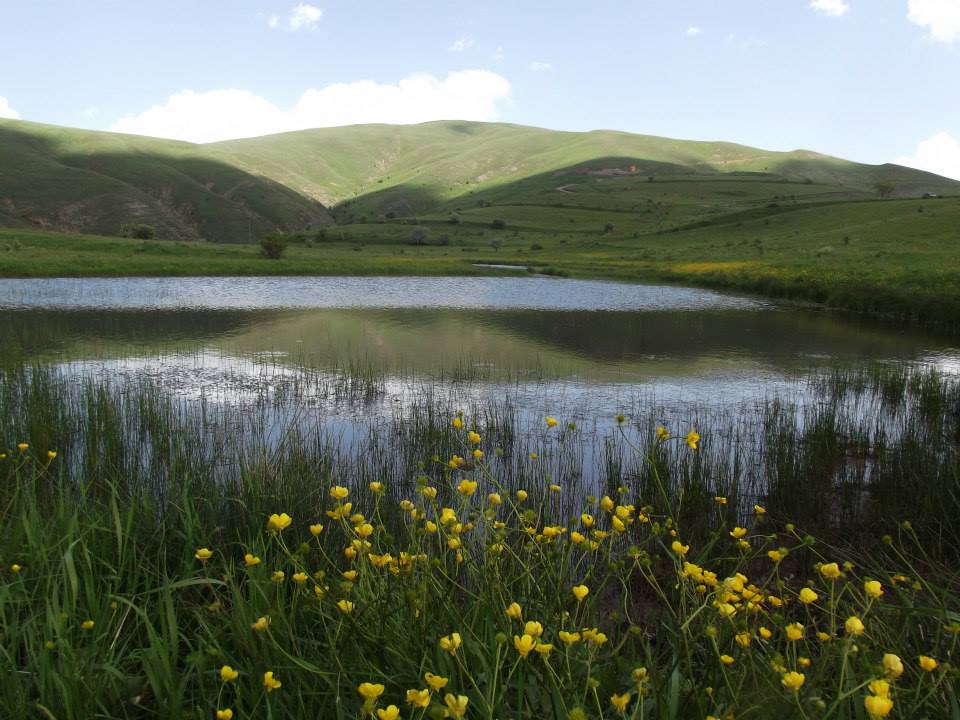 Refahiye Gölköy Köyü Resimleri 2