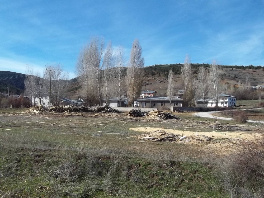 Refahiye Günyüzü Köyü Resimleri 3