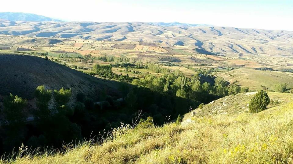 Gölova İlyasköy Resimleri 1