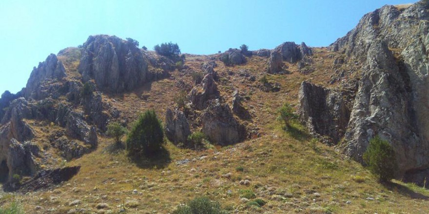 Refahiye Halitler Köyü Resimleri