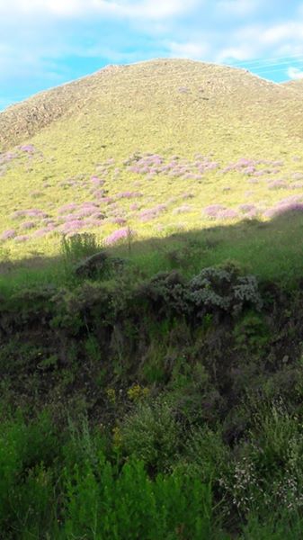 Refahiye Kabuller Köyü Resimleri 2