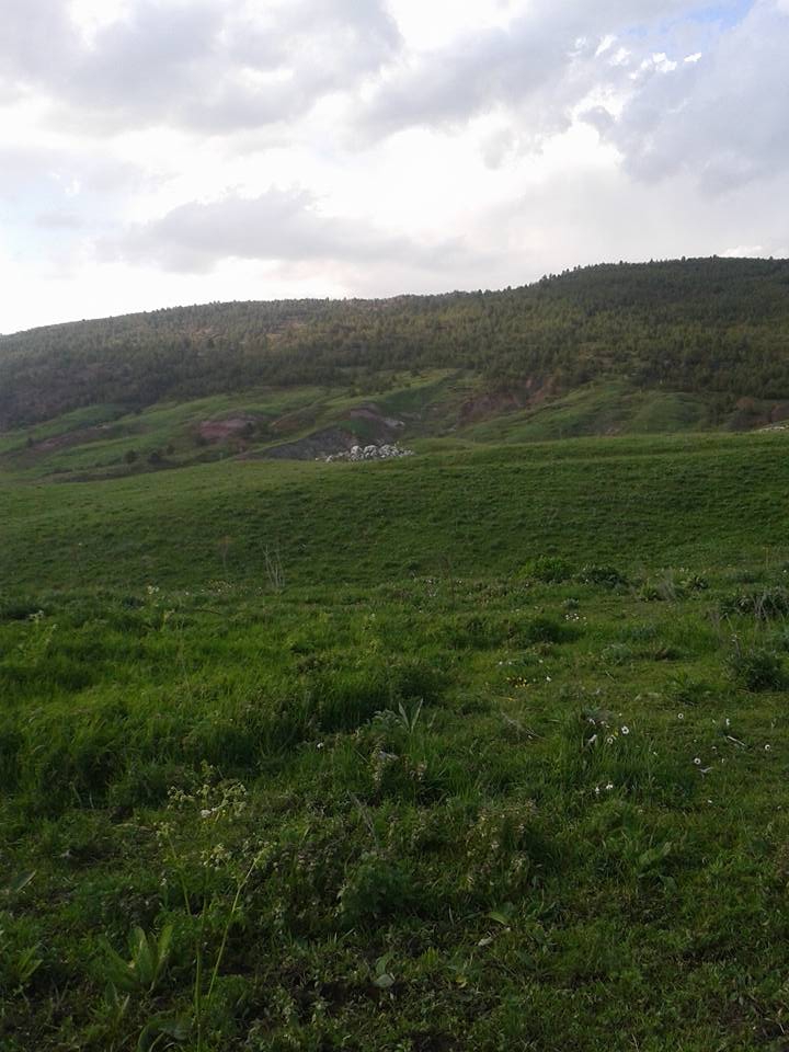 Refahiye Kaçakköy Köyü Resimleri 2