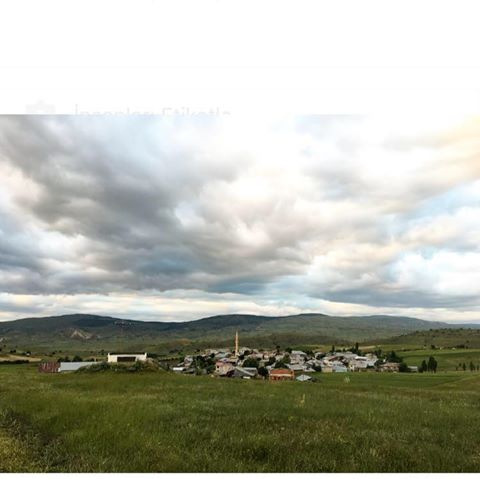 Refahiye Kalkancı Köyü Resimleri 8