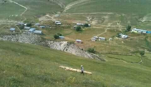 Refahiye Kandilköy Köyü Resimleri 1