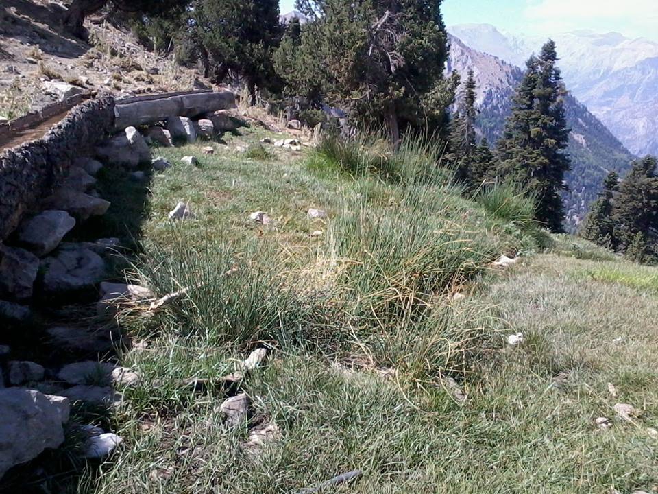 Adana Pozantı Ömerli Köyü Resimleri 11