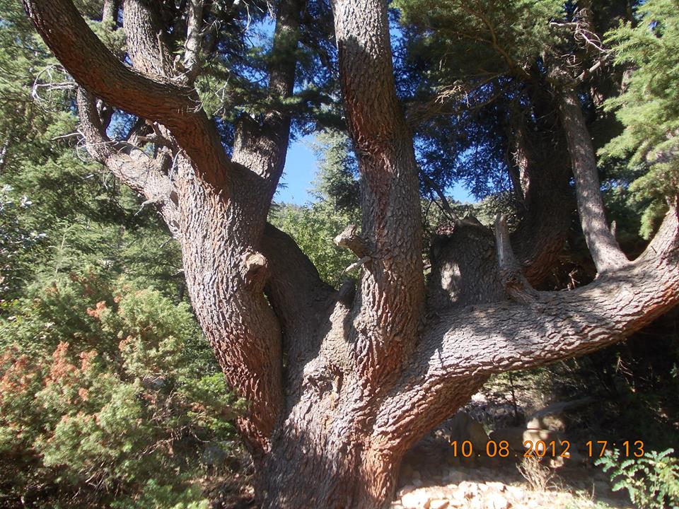 Adana Pozantı Ömerli Köyü Resimleri 15