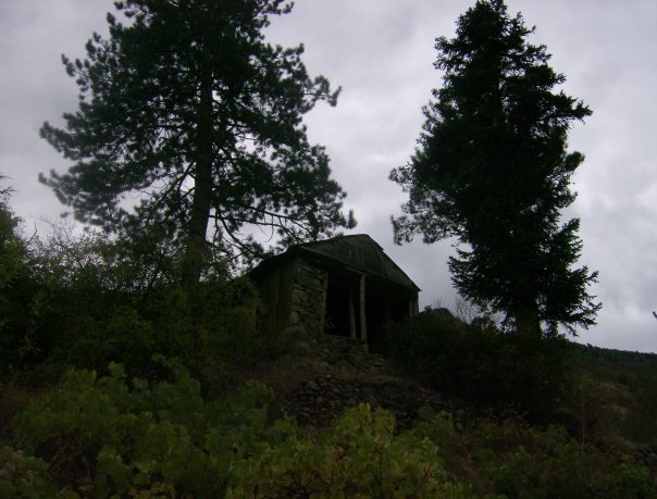 Adana Pozantı Ömerli Köyü Resimleri 29