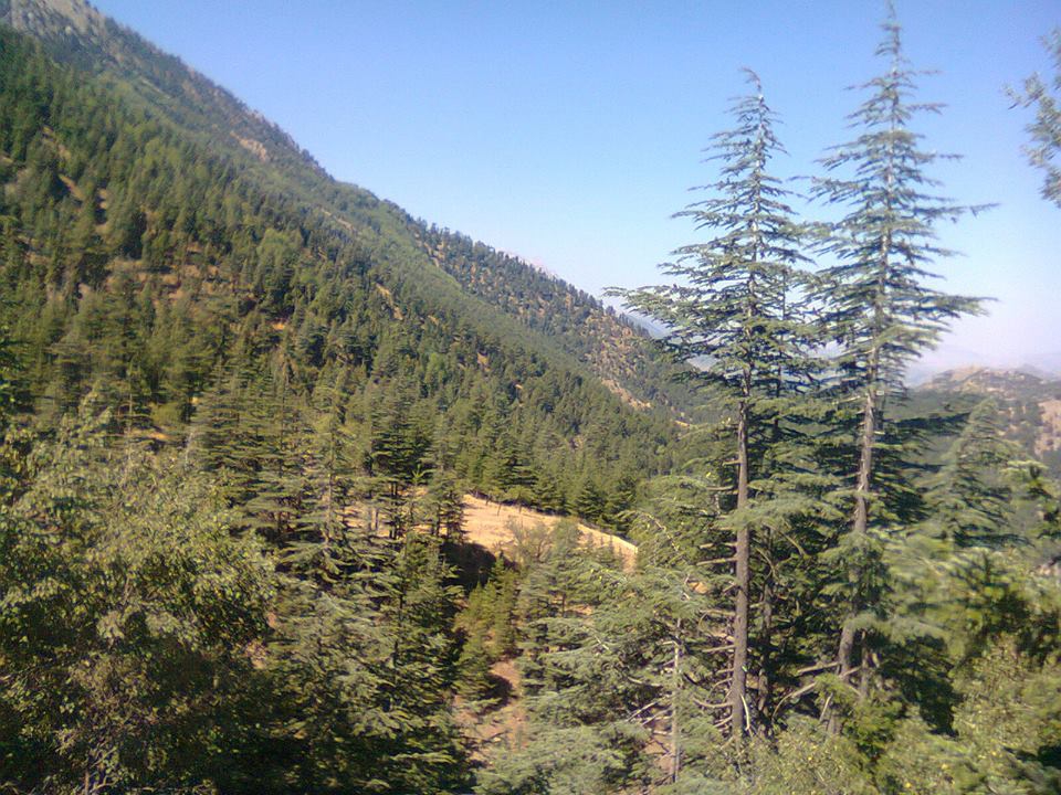 Adana Pozantı Ömerli Köyü Resimleri 7