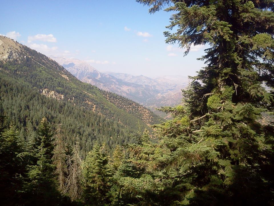 Adana Pozantı Ömerli Köyü Resimleri 9