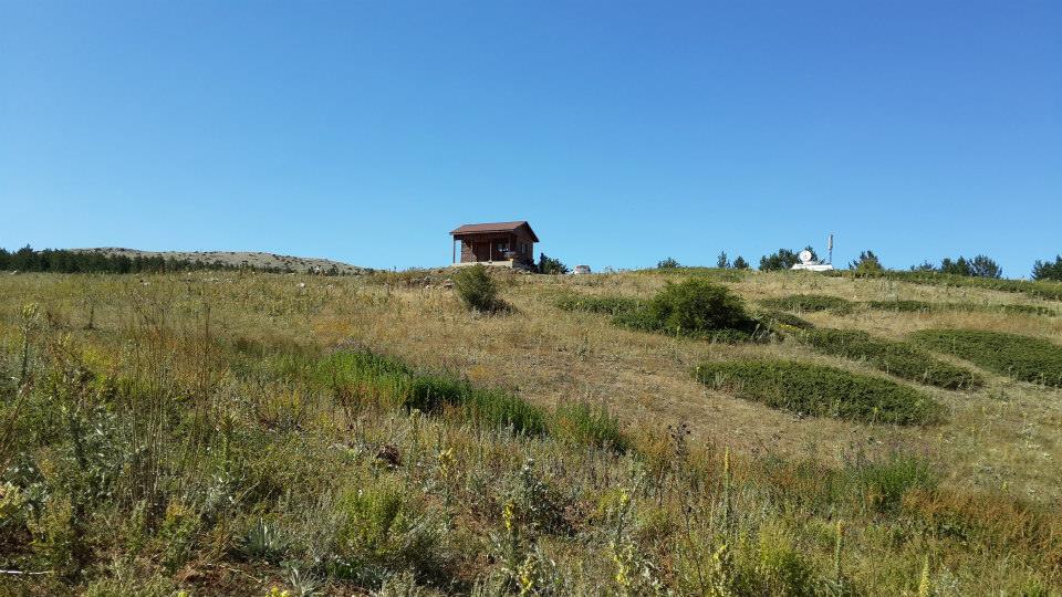Refahiye Kayıköy Köyü Resimleri 13