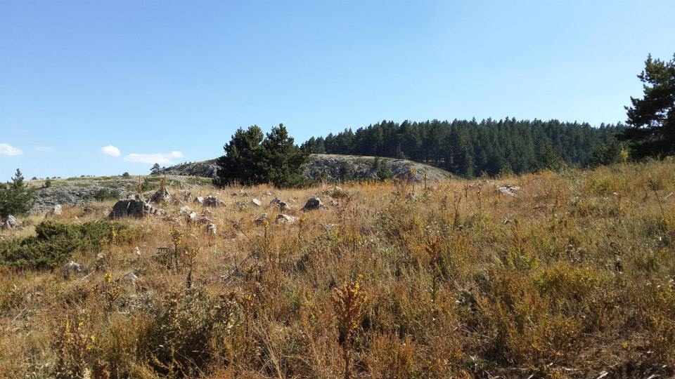 Refahiye Kayıköy Köyü Resimleri 2