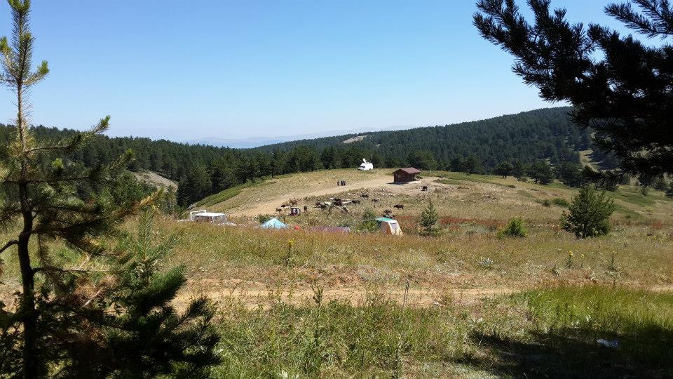 Refahiye Kayıköy Köyü Resimleri 5