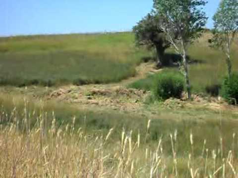 Refahiye Kırantepe Köyü Resimleri 2