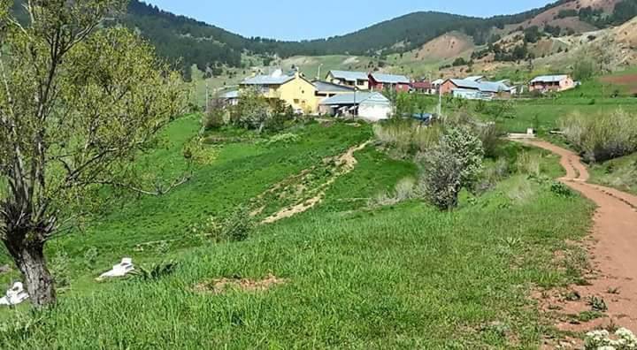 Refahiye Kırıktaş Köyü Resimleri 3