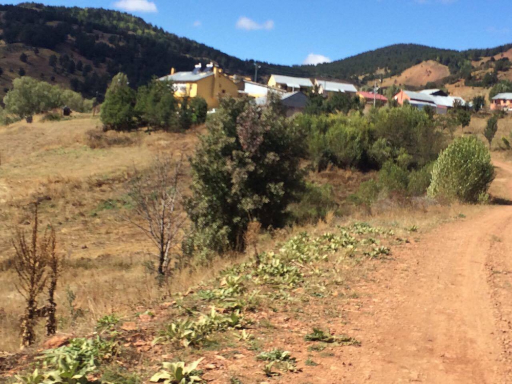 Refahiye Kırıktaş Köyü Resimleri 6