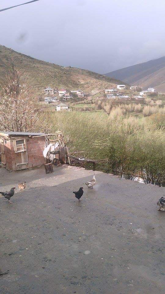 Refahiye Kırkbulak Köyü Resimleri 3